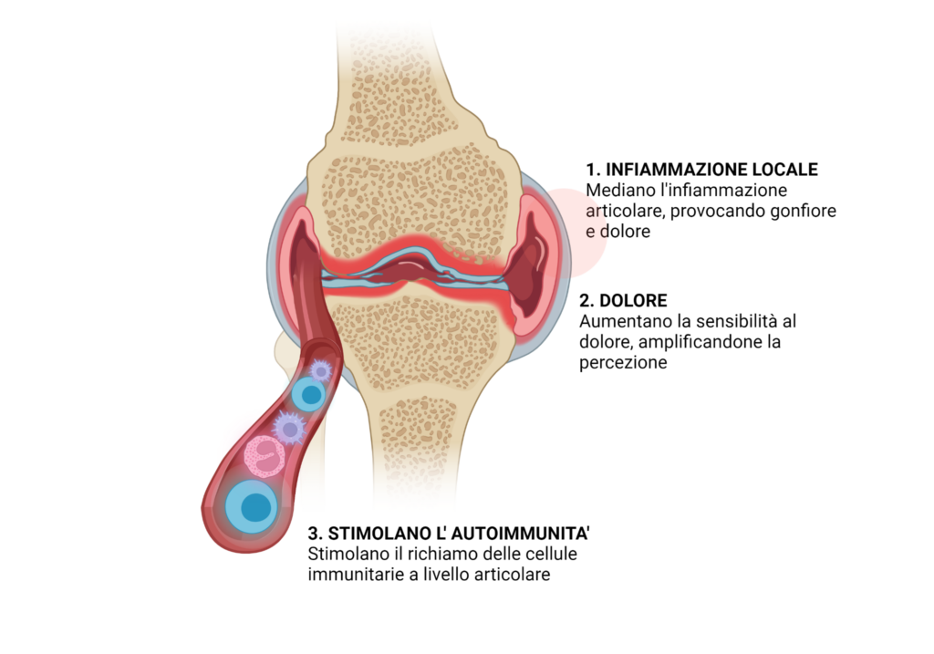 Naprossene sodico e azione sulle prostaglandine